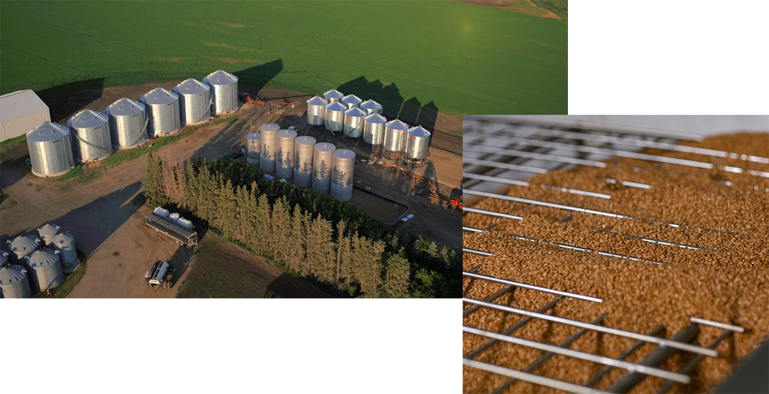 The Flax Difference